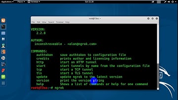 How To Port Forwarding in Kali Linux using Ngrok