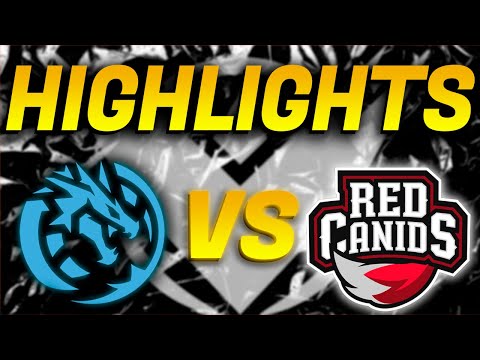 LEVIATAN VS RED CANIDS HIGHLIGHTS - LEAGUE OF LEGENDS - LTA SUR SPLIT 2 - JORNADA 3