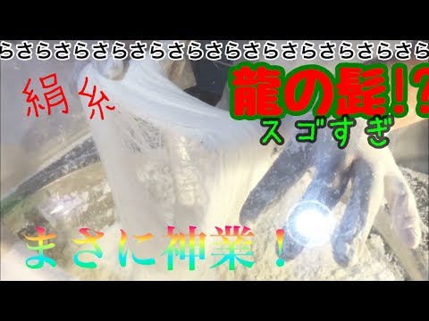 龍の髭(りゅうのひげ)というお菓子がスゴすぎた【音量注意】