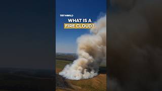 France just witnessed its first fire cloud. Here's what that means