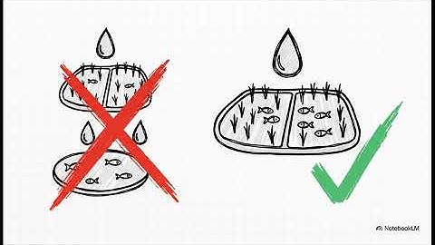 Beautiful Ancient Fish-Rice Culture Method