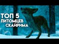 Скайрим - Топ 5 Питомцев Спутников