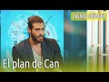 Pájaro soñador - El plan de Can (Audio Español) | Erkenci Kuş