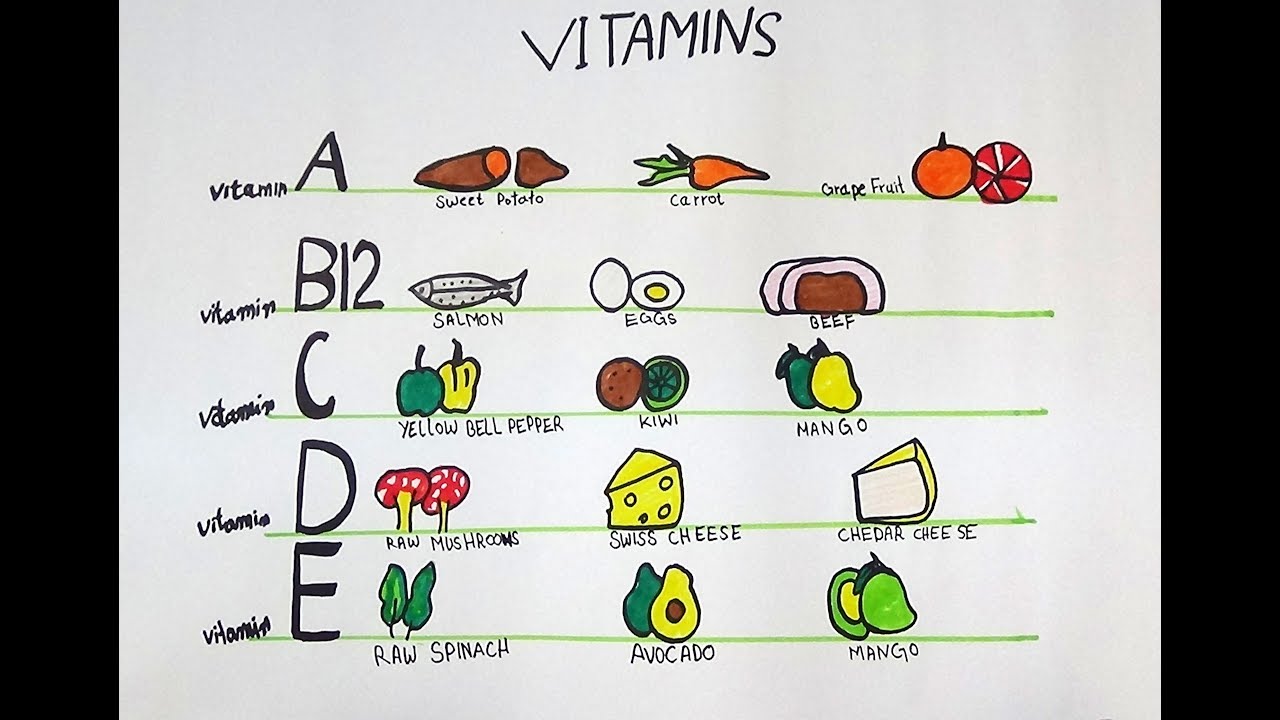 Draw And Color Source Of Vitamin Abcd And E