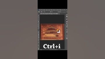 Developing Color negative Film #shorts