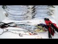 EASY How To- Catch and Rig Ballyhoo for Bait (Offshore Fishing and Trolling)