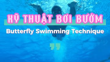 PHÂN TÍCH KỸ THUẬT BƠI BƯỚM CƠ BẢN