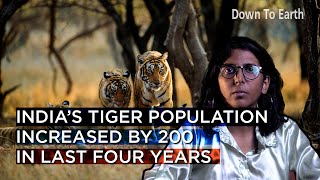 Tiger Census 2022: India’s tiger population increased by 200 in last four years