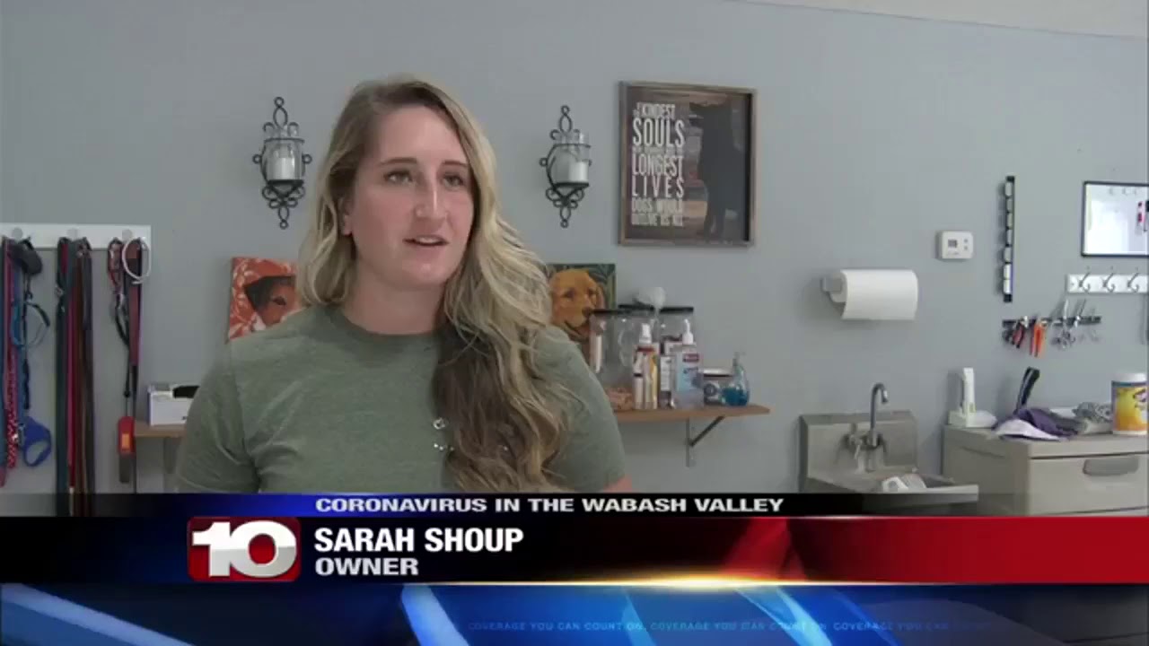 Dog groomer sees increased business - YouTube