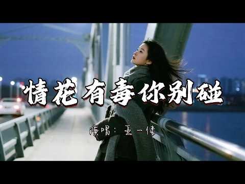 王一佳 - 情花有毒你别碰『情花有毒你别碰 一碰痛一生 最终海誓山盟仿若一场梦。』『动态歌词MV』#新歌更新 #推荐好听的歌曲