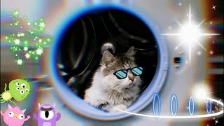 Кот Мася и стиральная машина (Кот в космосе) Кот Мася и стиральная машина (Кот в космосе)
