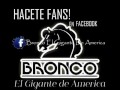 Bronco Paco Barron Pout Popurri