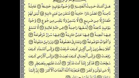 القارئ أبو بكر الشاطري I سورة الغاشية