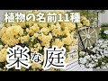 【ガーデニング初心者】ずぼら・ほったらかしでもOK!おしゃれな庭にしたい