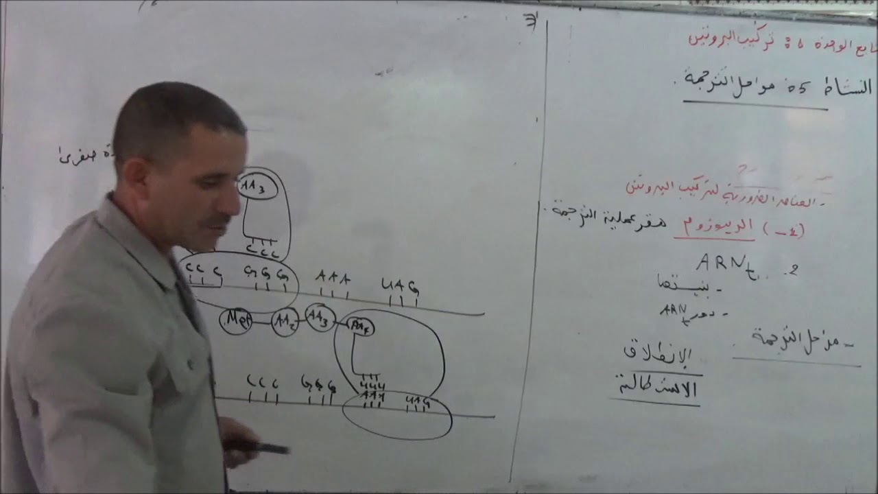 المجال 1 الوحدة 1 تركيب البروتين الجزء 7