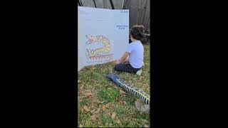 2023 - Adam Khebzegga - Settlers Way