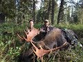 Big Archery Bull Moose (2017) - Small Woman