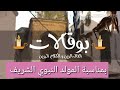 بوقلات انوي وعقدي وصلي على النبي وان شاء الله ربي يفتح البيبان
