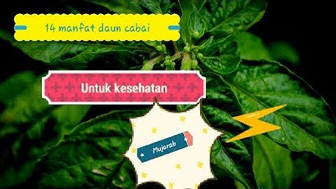 14 manfaat daun cabai untuk kesehatan,@rwskesehatan