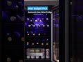 Best Wine Fridges in 2026