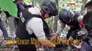 Zona Rawan Maling Digasak Tim Cobra  | Lumajang