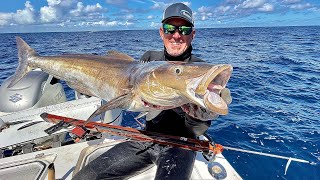 Monster Sharks and Cobia Catch & Cook (The Craziest Thing I’ve Ever Done)