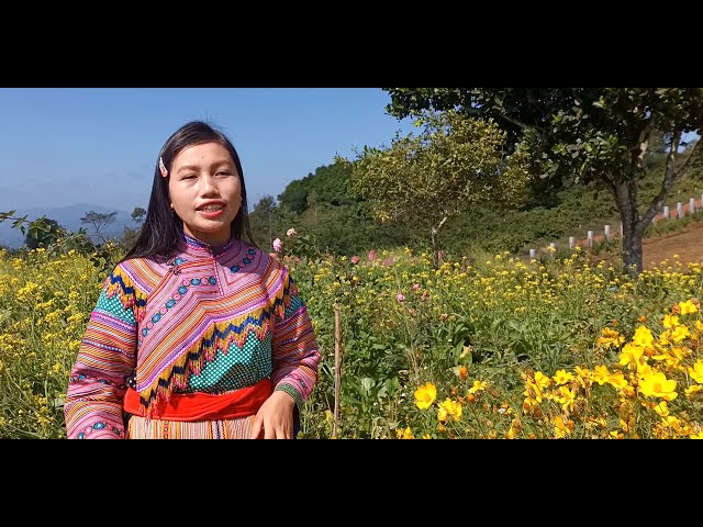 Nkauj Ntseeg Tawm Tshiab ,Nam hawj vaam ( Tug Niam Tsev Zoo )