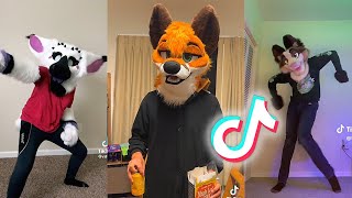 Furry Tiktok's That Remind Me I Have A YouTube Channel To Maintain