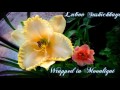Цветочный калейдоскоп. Daylilies. Blumen. FLOWERS. Music. Красивая музыка надежды и весны.