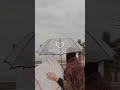 اريد الحب في قلب شريف اريد الحب في قلب شريف