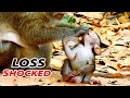 SHOCKED & LOSS !! DITO VERY SCARE HAND MOMMY STEAL FOOD / DAISY BAD ACT EAT FOOD HER BABY .