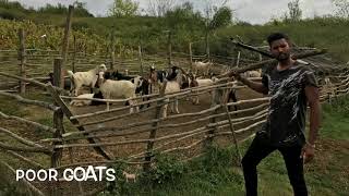 Craiova Romania Countryside Farm House