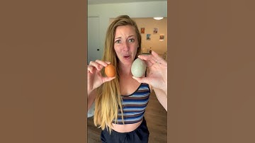 What the Duck?