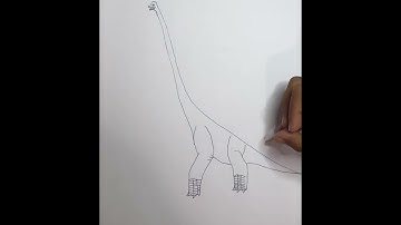 How To Draw A Brachiosaurus