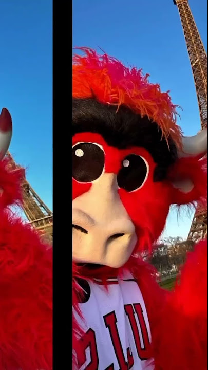 new york red bulls mascot