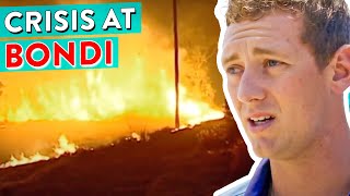 Exactly What You DON'T Want To Happen! Bondi's Biggest Disasters