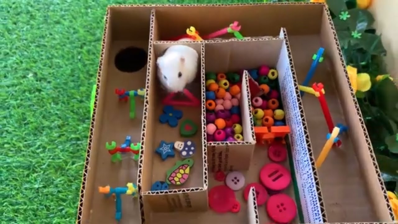 Build a Sevenstory Pyramid Labyrinth For Hamsters / Learn How To Build