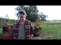 Middle of video
