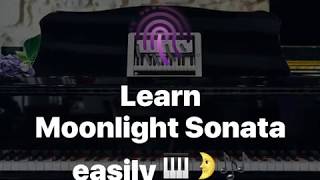 Learn moonlight Sonata easily screenshot 2