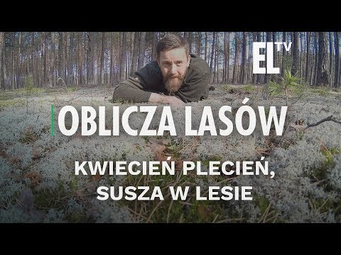 Kwiecień plecień, susza