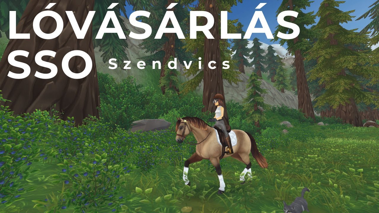 SSO Lóvásárlás {leárazott connemarák}