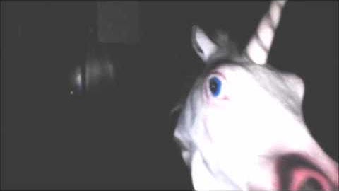 Shadow the Unicorn from Hell - Parody Video
