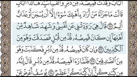 سورة يوسف الصفحة 238 الشيخ محمد صديق المنشاوي