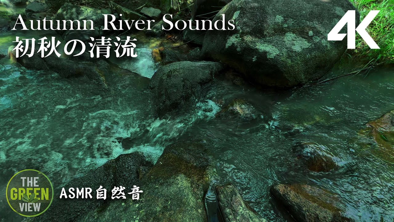 【自然音/ASMR】癒しの自然音|せせらぎ・鳥のさえずり|勉強・睡眠・作業用BGM|川の音・自然の音・Nature Sounds - The ...
