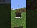 Guess The Minecraft Item! #minecraft #gaming #shorts #youtubeshorts #viralvideo #foryou #fyp