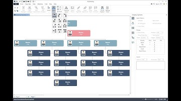 OrgCharting - How to Change the Layout of the Org Chart