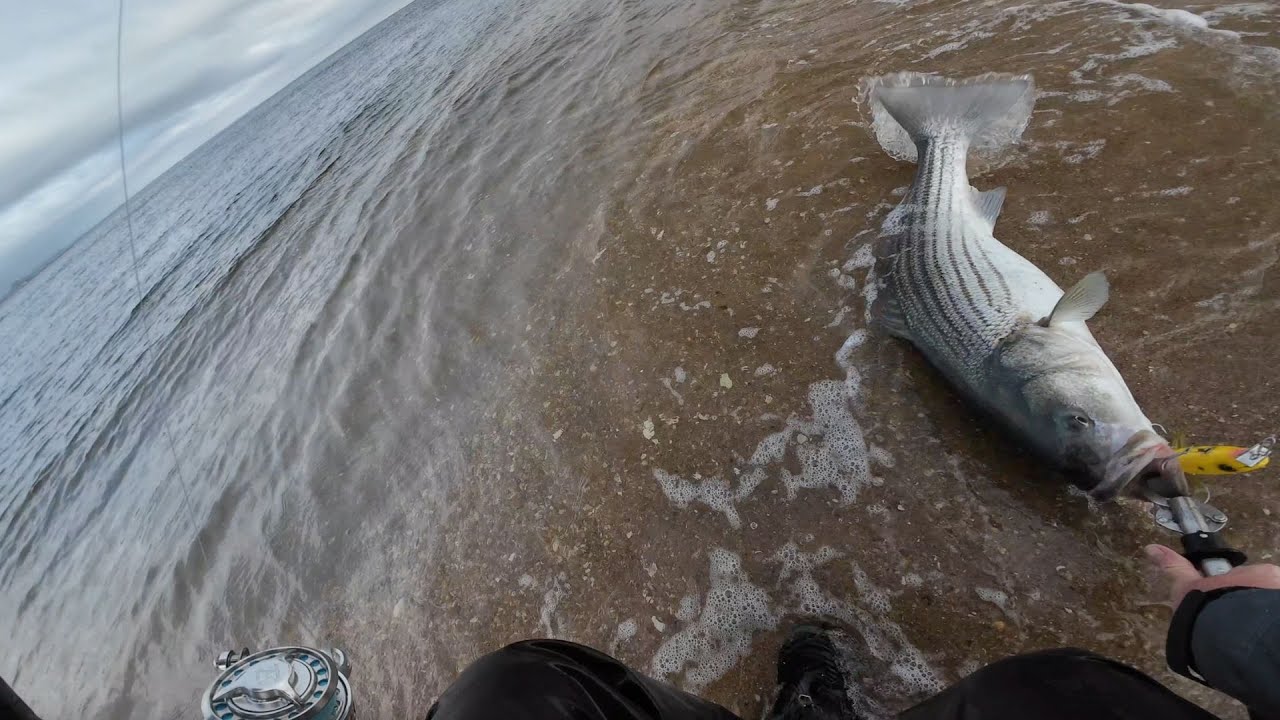 Big Fish love Metal Lips