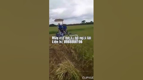 Máy cắt mè ngồi lái tự bó Lh 0988866196