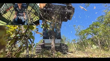 Skid Pro Brush Mulcher Test Drive | Power & Precision in Action