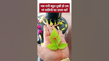 जब नारी बहुत दुखी हो तो मां मालिनी का करे उपाय#shivmahapuran #mahadev #shorts 🙏